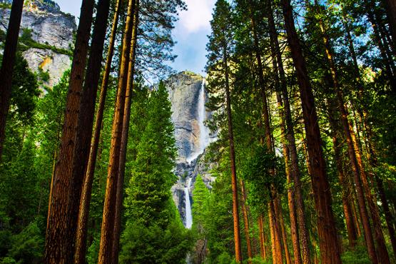 Waterfalls, Yosemite National Park, USA