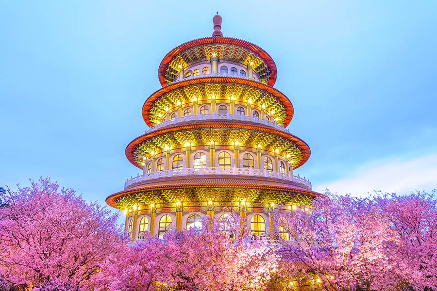 See the Wuji Tianyuan temple in the cherry blossom season | Travel Nation