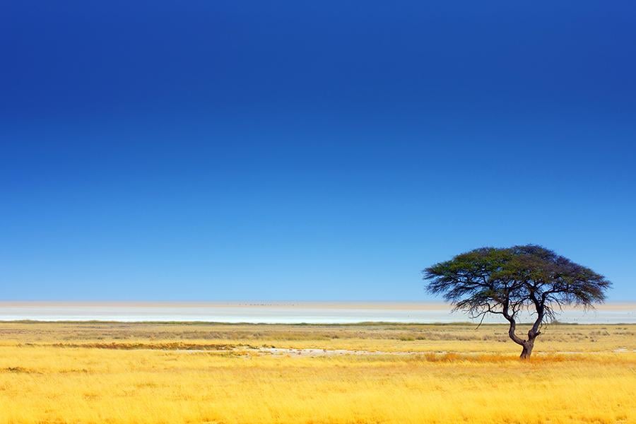 Etosha National Park, Namibia | Namibia Travel Guide