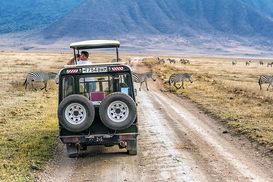 Get close to the magnificent wildlife in the Ngorongoro Crater