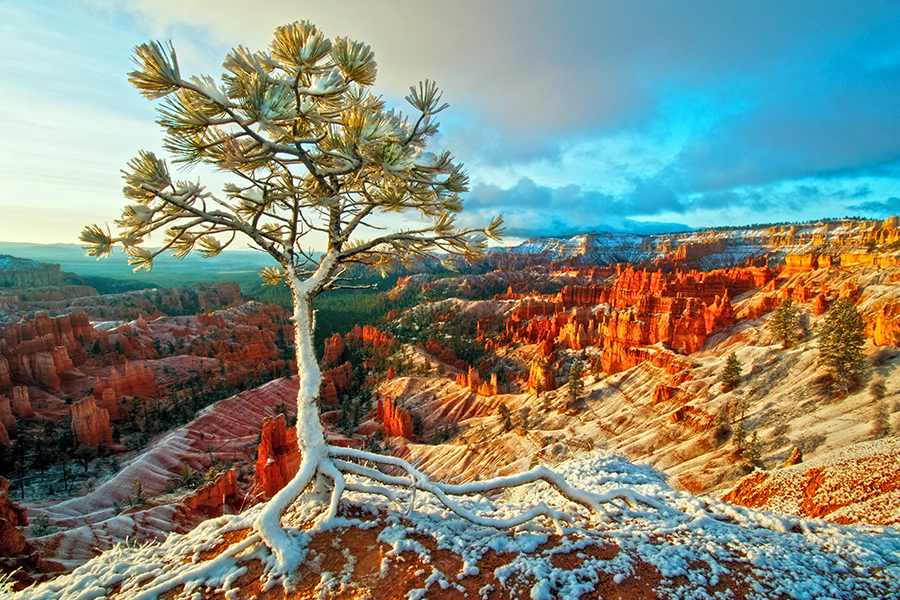 Bryce Canyon, USA